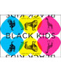Black Kids Spring Tour